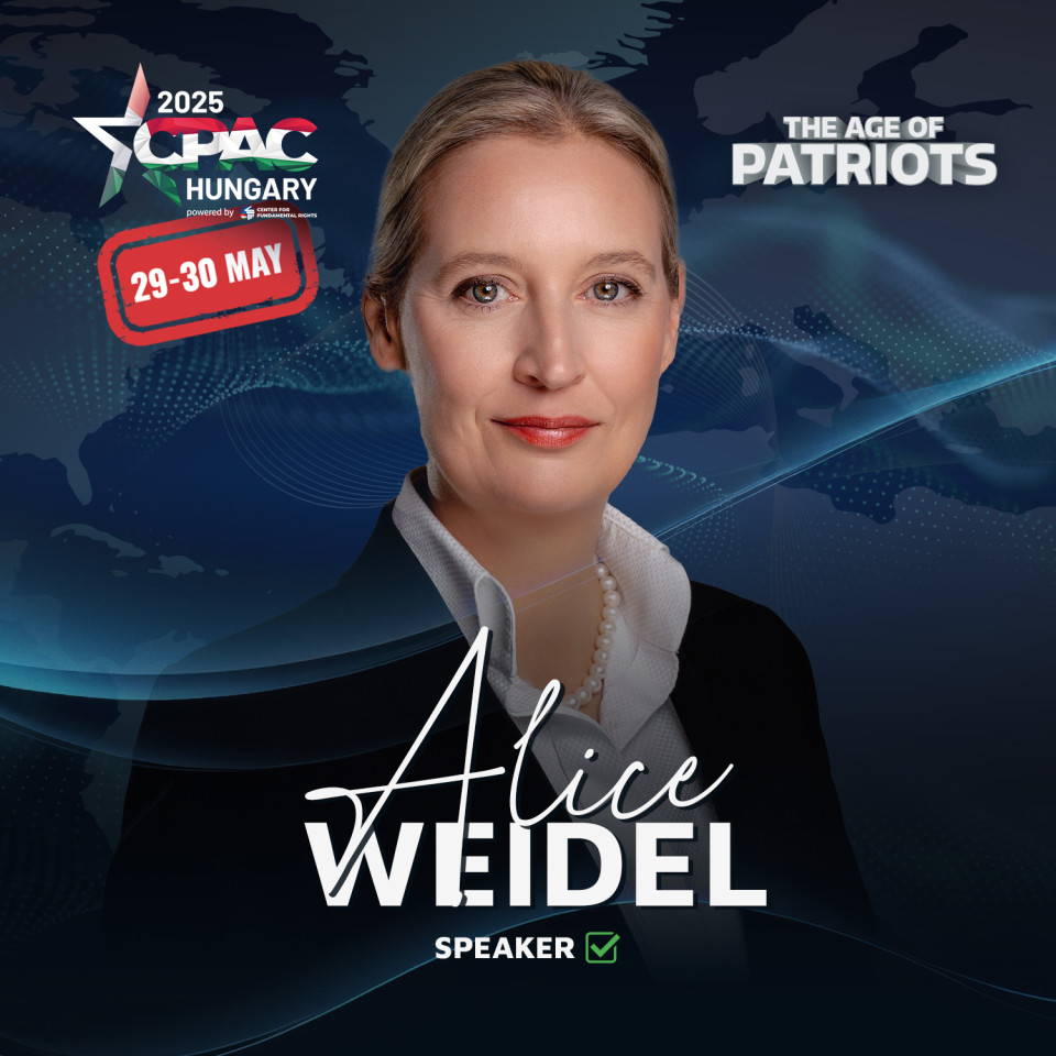 Co-Chairwoman of AfD, Germany